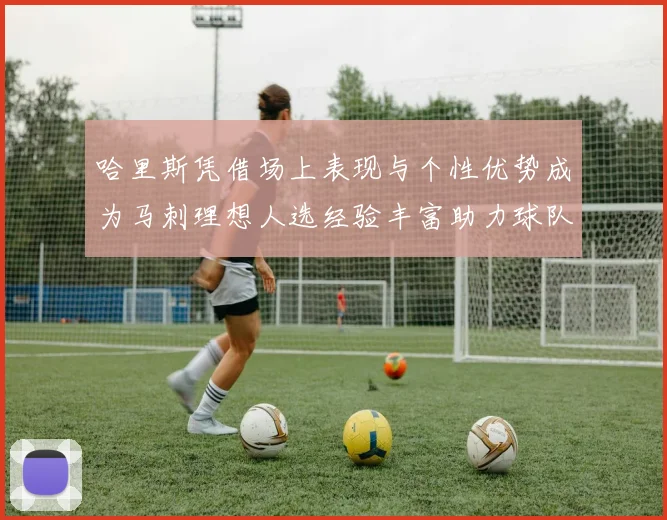 哈里斯凭借场上表现与个性优势成为马刺理想人选经验丰富助力球队发展
